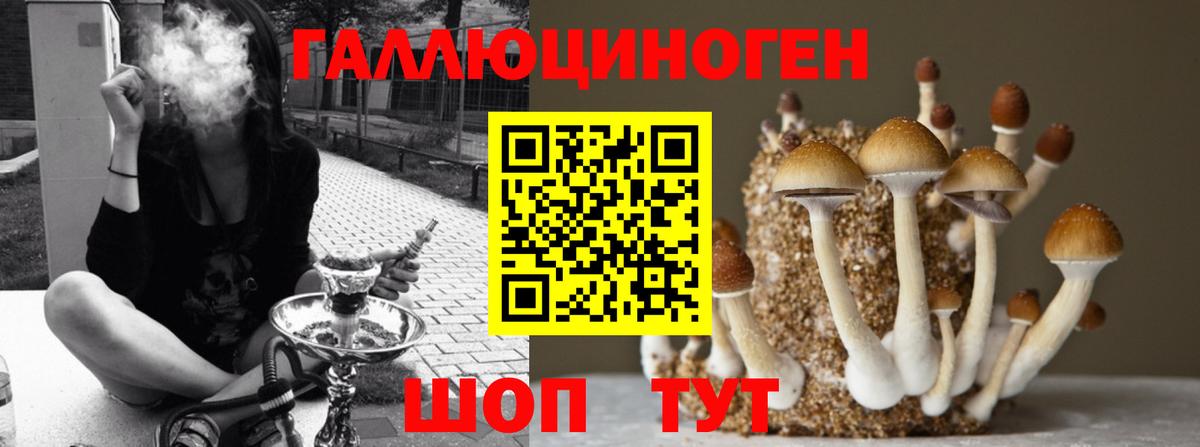 Мегион  Галлюциногенные грибы Magic Shrooms  Вход с VPN 